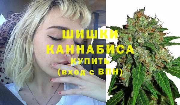 молекула духа Бугульма