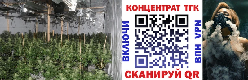 ТГК гашишное масло  как найти наркотики  Нюрба 